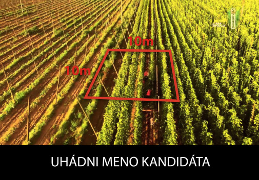 kandidat